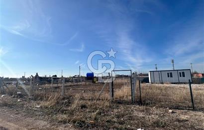 Cb Vizyon Tuğba ERKAL'dan Asfalt Yola Yakın Merkezi Konum Tarla