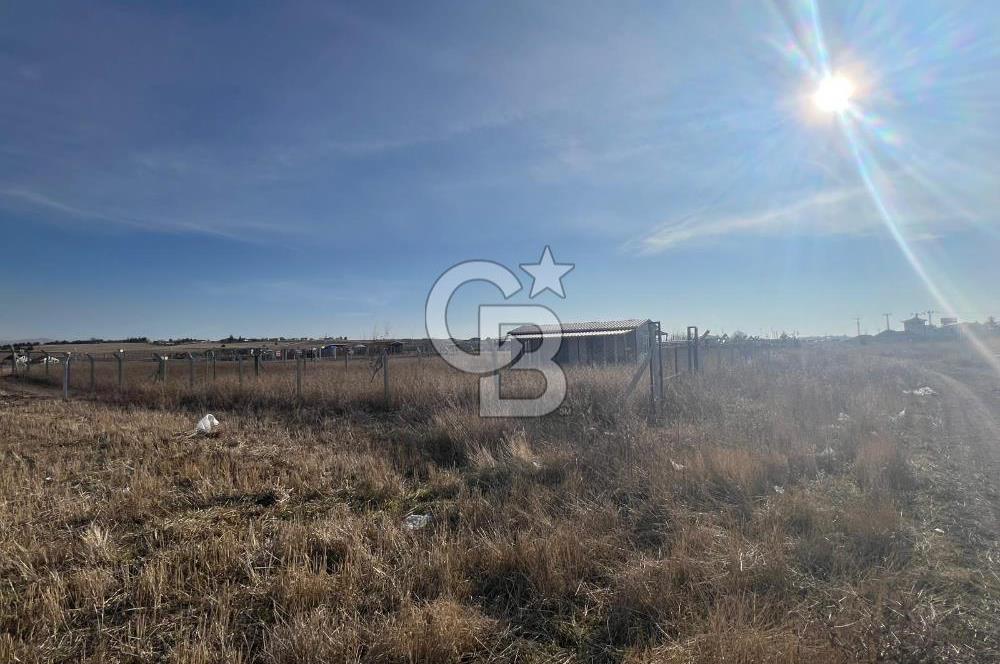 Cb Vizyon Tuğba ERKAL'dan Merkezi Konumlu Tek Tapu Tarla