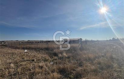 Cb Vizyon Tuğba ERKAL'dan Merkezi Konumlu Tek Tapu Tarla