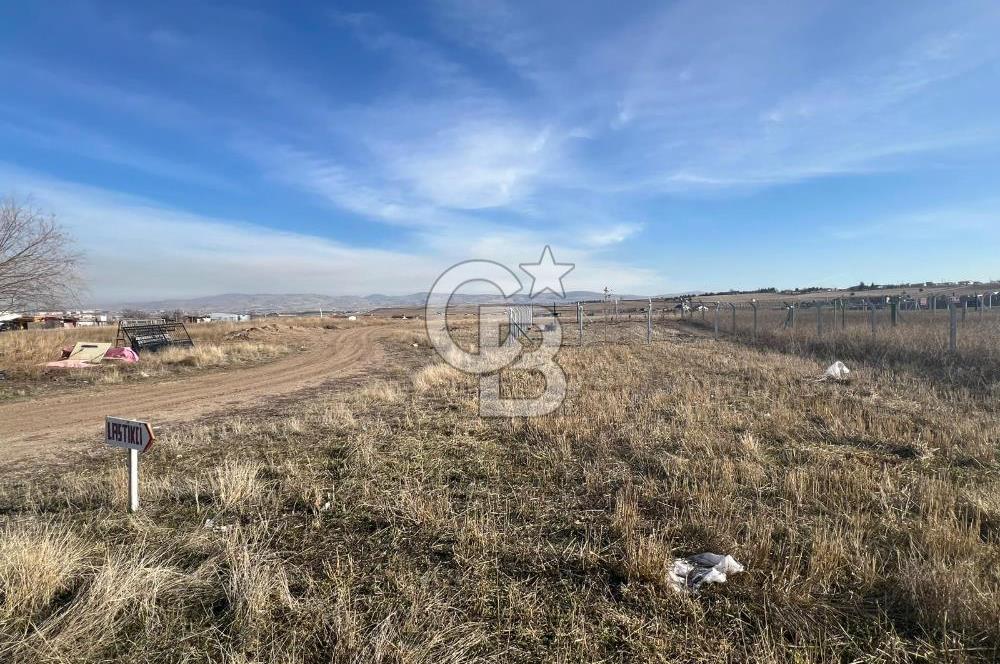 Cb Vizyon Tuğba ERKAL'dan Merkezi Konumlu Tek Tapu Tarla