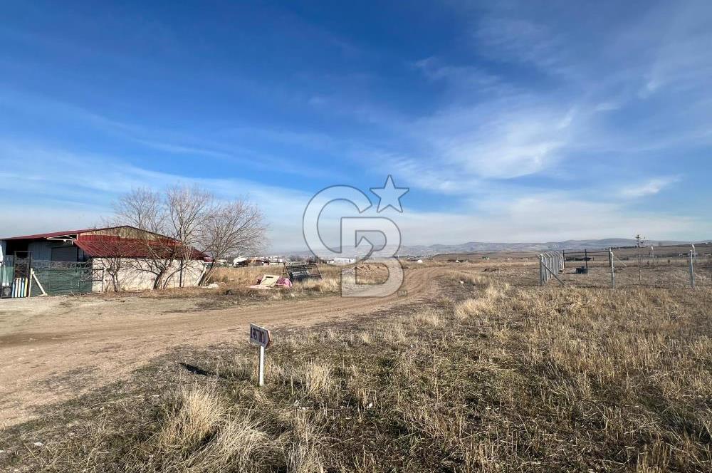 Cb Vizyon Tuğba ERKAL'dan Merkezi Konumlu Tek Tapu Tarla