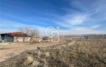 Cb Vizyon Tuğba ERKAL'dan Merkezi Konumlu Tek Tapu Tarla