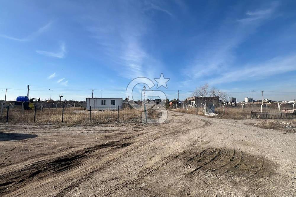 Cb Vizyon Tuğba ERKAL'dan Asfalt Yola Yakın Merkezi Konum Tarla