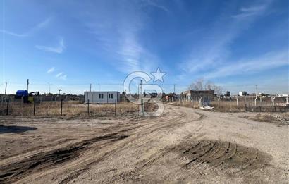 Cb Vizyon Tuğba ERKAL'dan Asfalt Yola Yakın Merkezi Konum Tarla