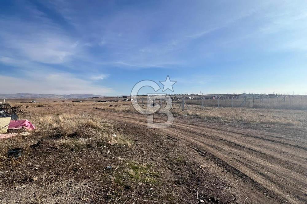 Cb Vizyon Tuğba ERKAL'dan Merkezi Konumlu Tek Tapu Tarla