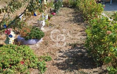 ÇANAKKALE LAPSEKİ ÇARDAKTA SATILIK BAHÇELİ MÜSTAKİL EV