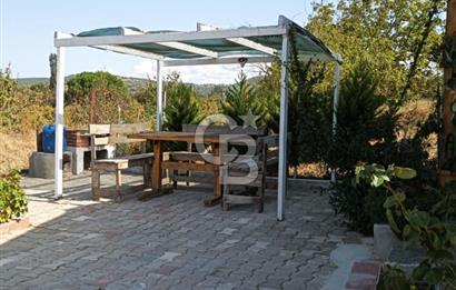 ÇANAKKALE LAPSEKİ ÇARDAKTA SATILIK BAHÇELİ MÜSTAKİL EV