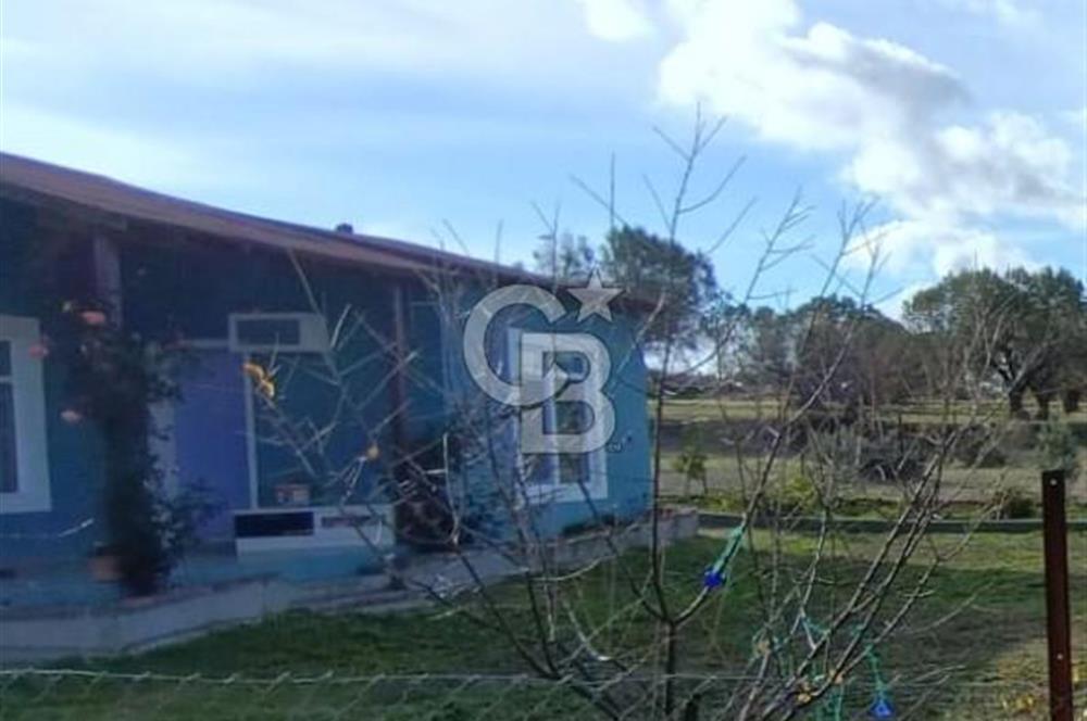 ÇANAKKALE LAPSEKİ ÇARDAKTA SATILIK BAHÇELİ MÜSTAKİL EV