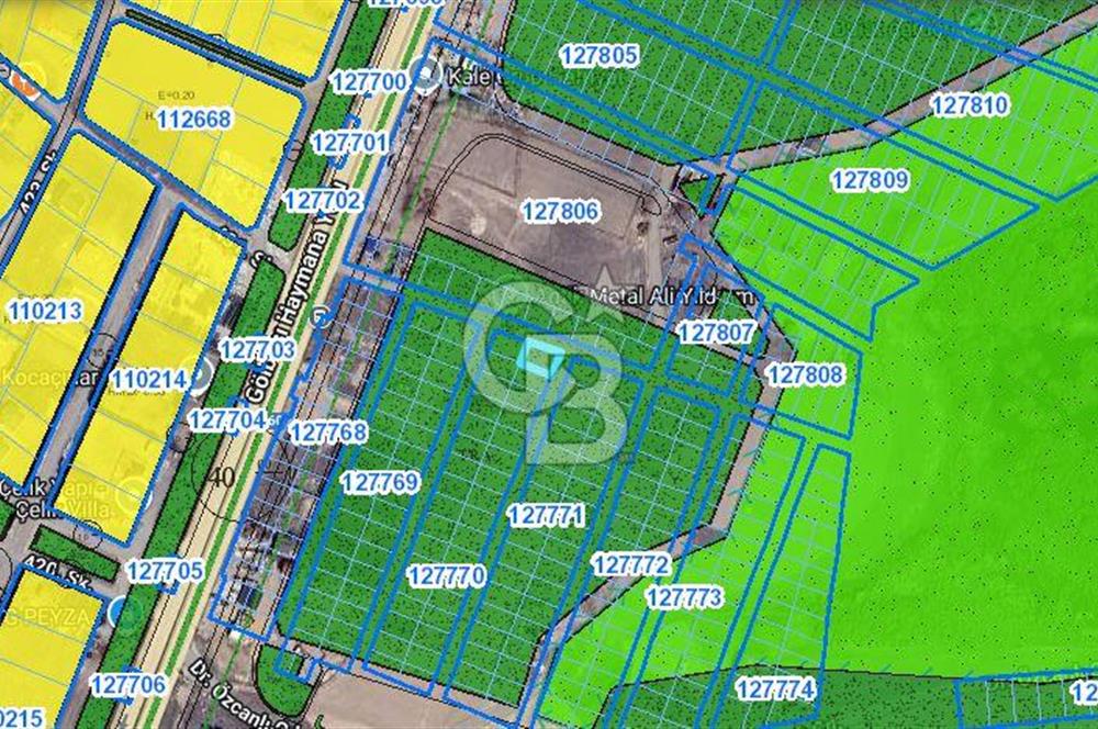 Cb Vizyon Tuğba ERKAL'dan Asfalt Yola Yakın Merkezi Konum Tarla