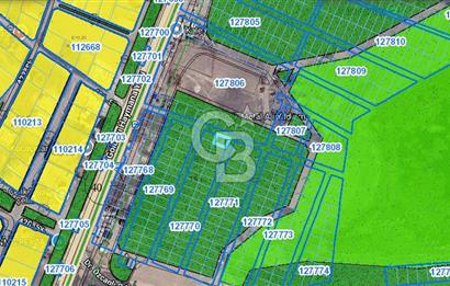 Cb Vizyon Tuğba ERKAL'dan Asfalt Yola Yakın Merkezi Konum Tarla