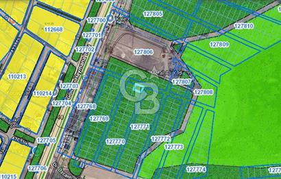 Cb Vizyon Tuğba ERKAL'dan Asfalt Yola Yakın Merkezi Konum Tarla