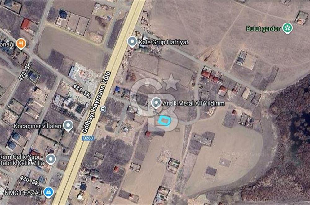 Cb Vizyon Tuğba ERKAL'dan Asfalt Yola Yakın Merkezi Konum Tarla