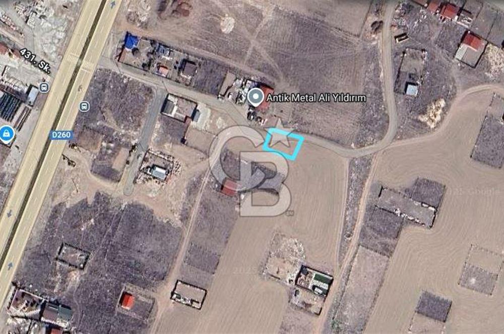 Cb Vizyon Tuğba ERKAL'dan Asfalt Yola Yakın Merkezi Konum Tarla