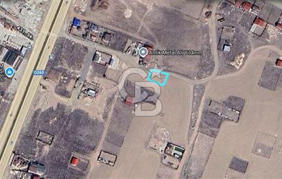 Cb Vizyon Tuğba ERKAL'dan Asfalt Yola Yakın Merkezi Konum Tarla