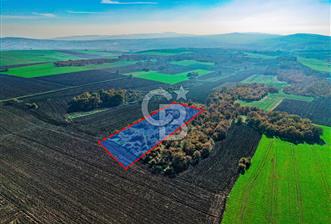 Çatalca Muratbeyde 7.456 m² %30 İmarlı Villa Arsası | Satılık - 1 - 325509