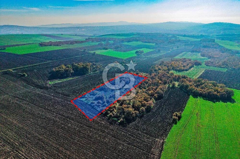 Çatalca Muratbeyde 7.456 m² %30 İmarlı Villa Arsası | Satılık