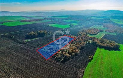 Çatalca Muratbeyde 7.456 m² %30 İmarlı Villa Arsası | Satılık