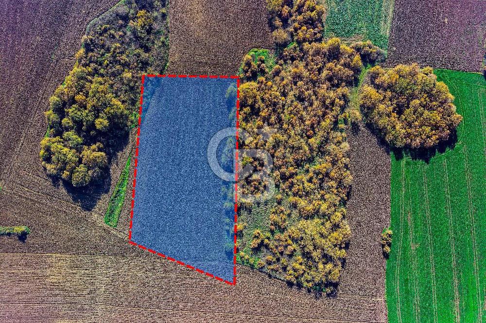 Çatalca Muratbeyde 7.634 m² %30 İmarlı Villa Arsası | Satılık