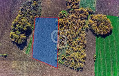 Çatalca Muratbeyde 7.634 m² %30 İmarlı Villa Arsası | Satılık