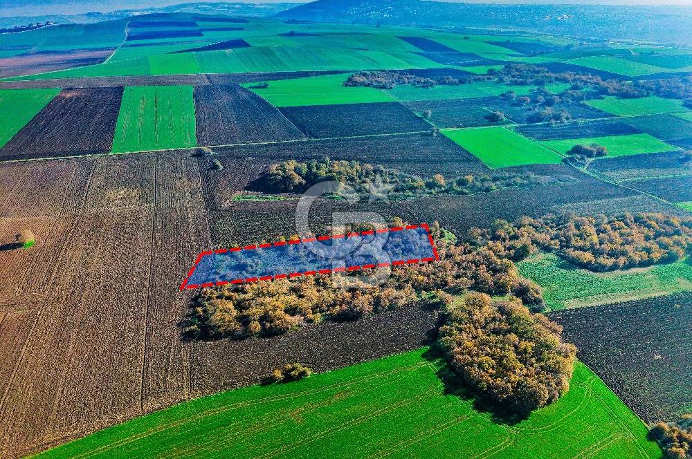 Çatalca Muratbeyde 7.456 m² %30 İmarlı Villa Arsası | Satılık