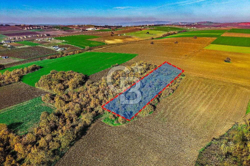 Çatalca Muratbeyde 7.456 m² %30 İmarlı Villa Arsası | Satılık