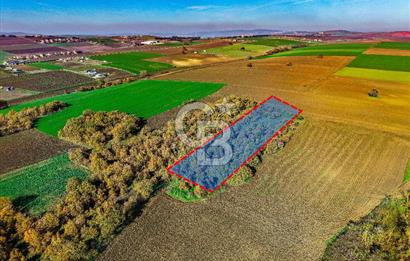 Çatalca Muratbeyde 7.456 m² %30 İmarlı Villa Arsası | Satılık