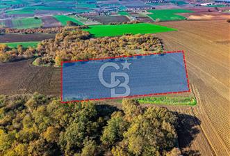 Çatalca Muratbeyde 7.634 m² %30 İmarlı Villa Arsası | Satılık - 2 - 325506