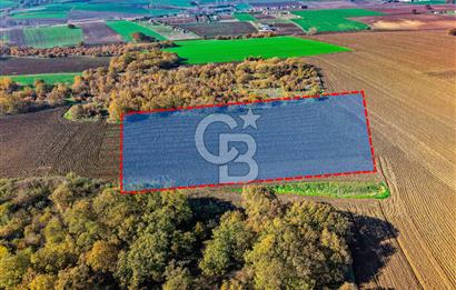 Çatalca Muratbeyde 7.634 m² %30 İmarlı Villa Arsası | Satılık