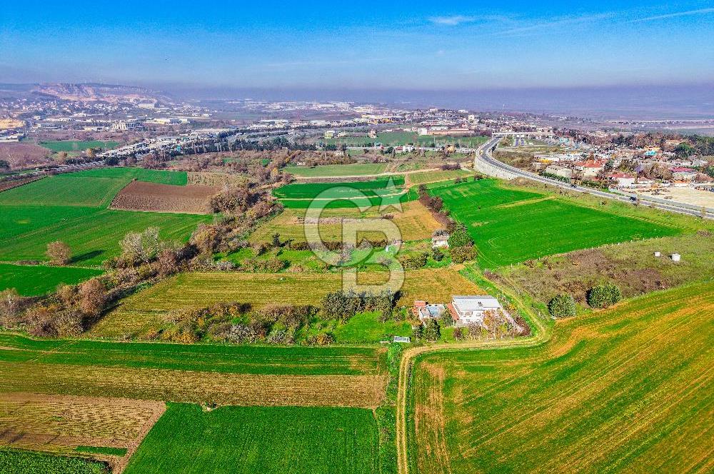 Muratbey Gümrük Karşısı 1.875 m² Antrepo İmarlı Arsa | Satılık