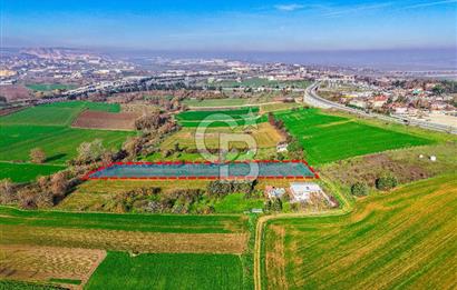 Muratbey Gümrük Karşısı 1.875 m² Antrepo İmarlı Arsa | Satılık