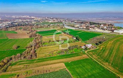 Muratbey Gümrük Karşısı 1.875 m² Antrepo İmarlı Arsa | Satılık