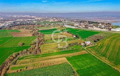 Muratbey Gümrük Karşısı 1.875 m² Antrepo İmarlı Arsa | Satılık