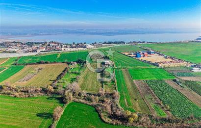 Muratbey Gümrük Karşısı 1.875 m² Antrepo İmarlı Arsa | Satılık