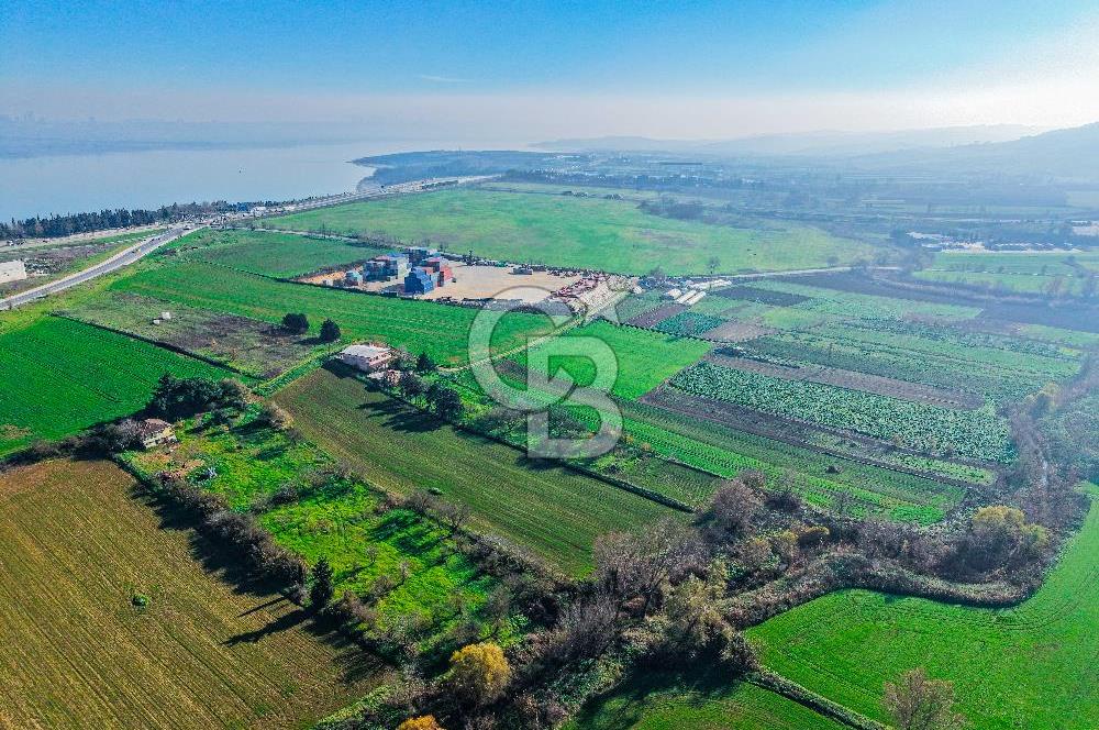 Muratbey Gümrük Karşısı 1.875 m² Antrepo İmarlı Arsa | Satılık