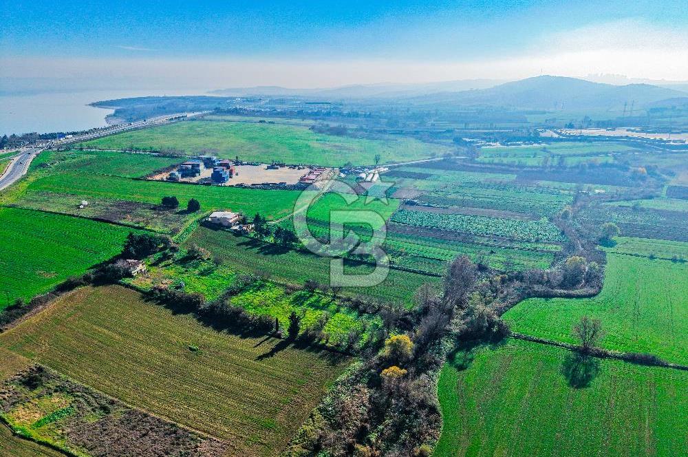 Muratbey Gümrük Karşısı 1.875 m² Antrepo İmarlı Arsa | Satılık