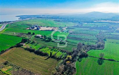 Muratbey Gümrük Karşısı 1.875 m² Antrepo İmarlı Arsa | Satılık