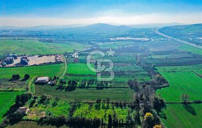 Muratbey Gümrük Karşısı 1.875 m² Antrepo İmarlı Arsa | Satılık