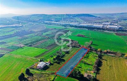 Muratbey Gümrük Karşısı 1.875 m² Antrepo İmarlı Arsa | Satılık