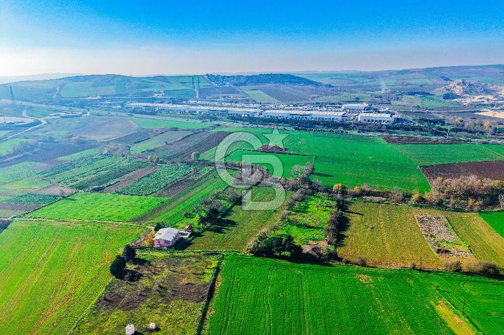 Muratbey Gümrük Karşısı 1.875 m² Antrepo İmarlı Arsa | Satılık