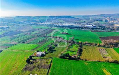 Muratbey Gümrük Karşısı 1.875 m² Antrepo İmarlı Arsa | Satılık