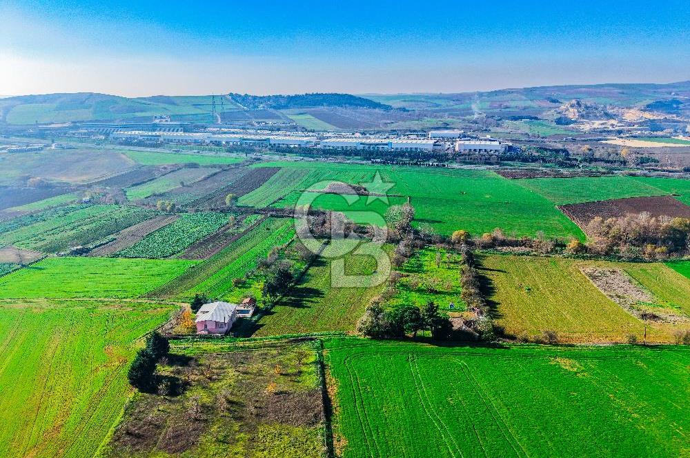 Muratbey Gümrük Karşısı 1.875 m² Antrepo İmarlı Arsa | Satılık