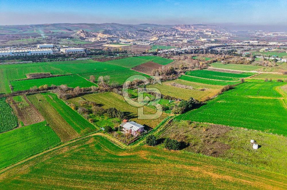 Muratbey Gümrük Karşısı 1.875 m² Antrepo İmarlı Arsa | Satılık