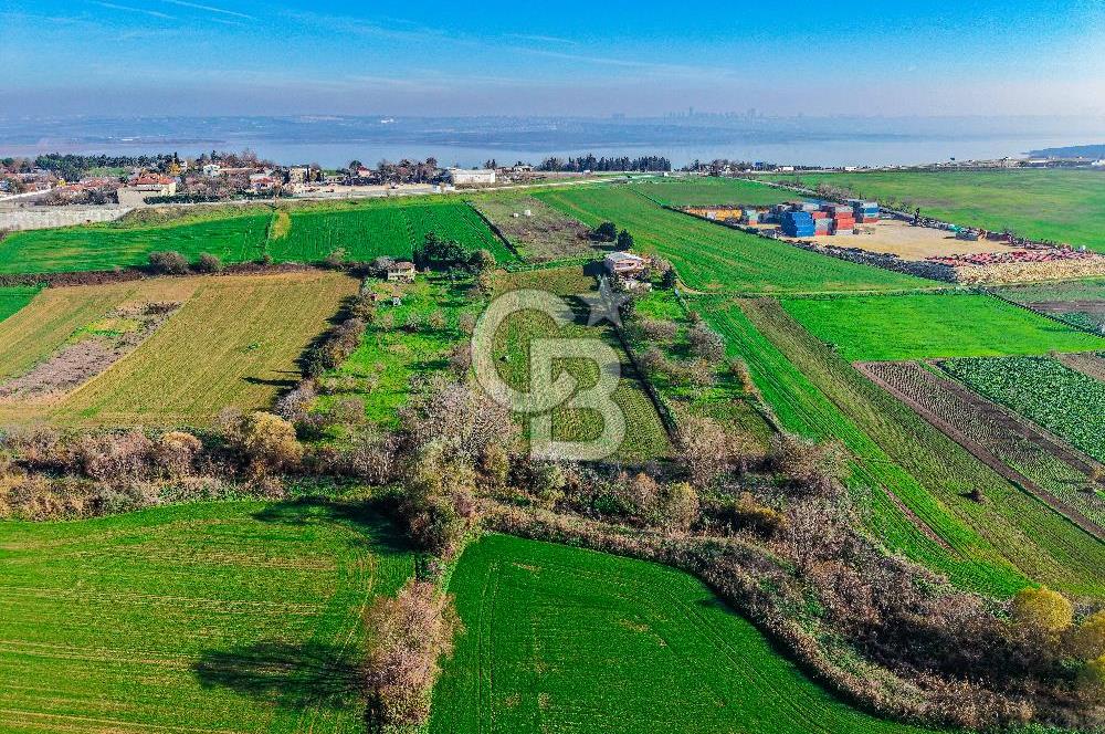 Muratbey Gümrük Karşısı 1.875 m² Antrepo İmarlı Arsa | Satılık