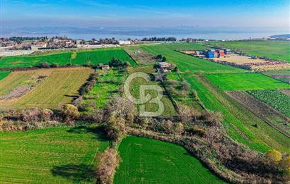 Muratbey Gümrük Karşısı 1.875 m² Antrepo İmarlı Arsa | Satılık