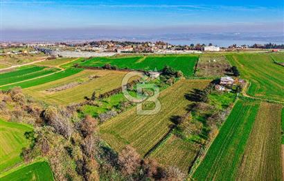 Muratbey Gümrük Karşısı 1.875 m² Antrepo İmarlı Arsa | Satılık