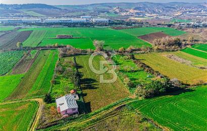 Muratbey Gümrük Karşısı 1.875 m² Antrepo İmarlı Arsa | Satılık