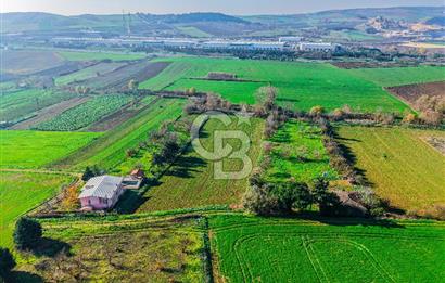 Muratbey Gümrük Karşısı 1.875 m² Antrepo İmarlı Arsa | Satılık