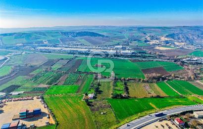 Muratbey Gümrük Karşısı 1.875 m² Antrepo İmarlı Arsa | Satılık