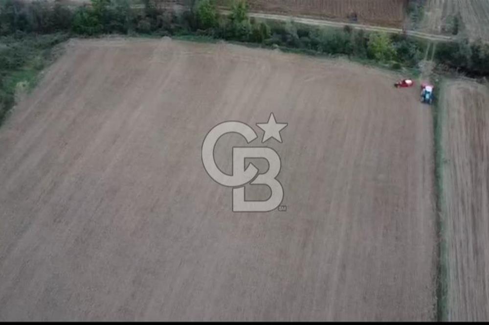 ÇOK ACİL İHTİYAÇ NEDENİYLE ÖZEL FİYATA SATIŞA SUNDUK!!!