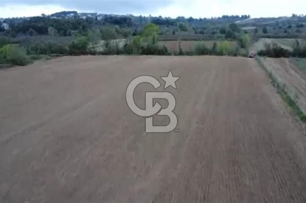 ÇOK ACİL İHTİYAÇ NEDENİYLE ÖZEL FİYATA SATIŞA SUNDUK!!!